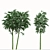 Golden Bamboo Plants Set (6-Pack) 3D model small image 5