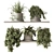 Green Living: Indoor Plant Set 3D model small image 1