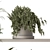 Green Living: Indoor Plant Set 3D model small image 4