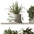 Green Living: Indoor Plant Set 3D model small image 6