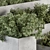 Concrete Outdoor Plant Set 277 3D model small image 5