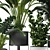 Urban Jungle: Modern Indoor Plant 3D model small image 4