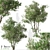 Blooming Nerium Oleander Duo 3D model small image 1