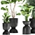 Exotic Plant Collection in Stylish Metal Pots 3D model small image 4