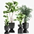 Exotic Plant Collection in Stylish Metal Pots 3D model small image 6