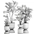 Exotic Plant Collection in Stylish Metal Pots 3D model small image 7