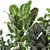 Exotic Plant Collection in Metal Pots 3D model small image 2
