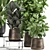 Exotic Plant Collection in Metal Pots 3D model small image 4