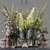 Collaction Indoor Plants: Stunning Detail & Quality 3D model small image 1