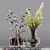 Collaction Indoor Plants: Stunning Detail & Quality 3D model small image 3