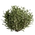 Nature's Shape Bush Set - Cube and Circle 3D model small image 3