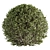 Nature's Shape Bush Set - Cube and Circle 3D model small image 4