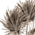 Elegant Palm Leaf Bouquet 3D model small image 5