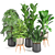 Botanical Bliss: RPM Plant Collection 3D model small image 1