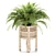 Natural Rattan Fern Pot 3D model small image 3