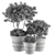 Vintage Pot Plant Set 3D model small image 4