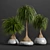 15-Piece Indoor Plant Set 3D model small image 1