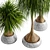 15-Piece Indoor Plant Set 3D model small image 8