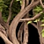 Australian Tree Collection: Vol. 29 3D model small image 3