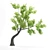 Outdoor Bonsai - 2016 Model 3D model small image 1