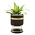 Elegant Greenery in Vase 3D model small image 2