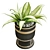 Elegant Greenery in Vase 3D model small image 5