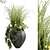 Modern Indoor Plant Set 3D model small image 1