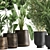 Tropical Oasis: Exotic Plants in Rustic Metal Pots 3D model small image 2