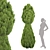 Premium Juniper Trees Collection - Vol. 30 3D model small image 2