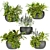 Indoor Houseplants Collection Vol 247 3D model small image 1