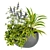 Indoor Houseplants Collection Vol 247 3D model small image 3