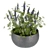 Indoor Houseplants Collection Vol 247 3D model small image 4