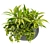 Indoor Houseplants Collection Vol 247 3D model small image 5