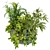 Indoor Houseplants Collection Vol 247 3D model small image 6