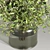 Cozy House Bouquet 3D model small image 6