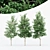 Variety of Carolina Buckthorn Trees 3D model small image 1