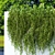 Dazzling Wall Hanging Plants 3D model small image 4