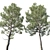 Cedrus Deodara 06 - Exquisite Millimeter Precision 3D Model 3D model small image 2