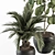 Lush Greenery Indoor Plant Set 3D model small image 2