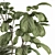 Lush Greenery Indoor Plant Set 3D model small image 3