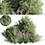 Nature's Blend: Mixed Plant & Bush 3D model small image 1