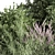 Nature's Blend: Mixed Plant & Bush 3D model small image 6