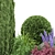 Exquisite Outdoor Plant Collection 3D model small image 3