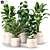 Lush Greenery Collection for Vibrant Interiors 3D model small image 1