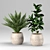 Lush Greenery Collection for Vibrant Interiors 3D model small image 3