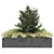 Set of Outdoor Plants 2  Beautiful Greenery for Your Outdoor Space 3D model small image 4