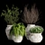 Botanical Bliss: Indoor Plant Collection 3D model small image 1