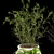 Botanical Bliss: Indoor Plant Collection 3D model small image 3