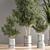 14-Piece Indoor Plant Set 3D model small image 4