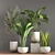 10-Piece Indoor Plant Set 3D model small image 2